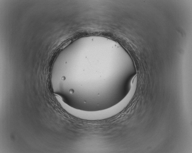 X0000112011157200908311128