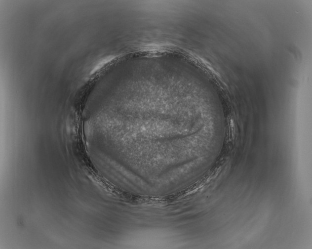 X0000112011158200908311128