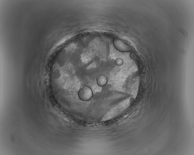 X0000112011159200908311128