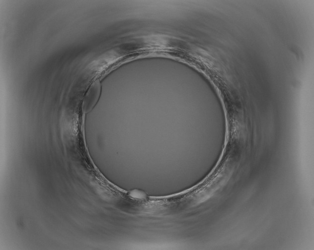 X0000112011161200908311128