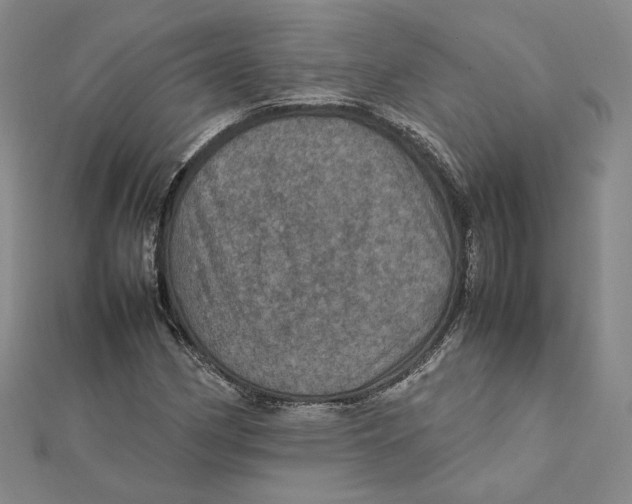 X0000112011162200908311128