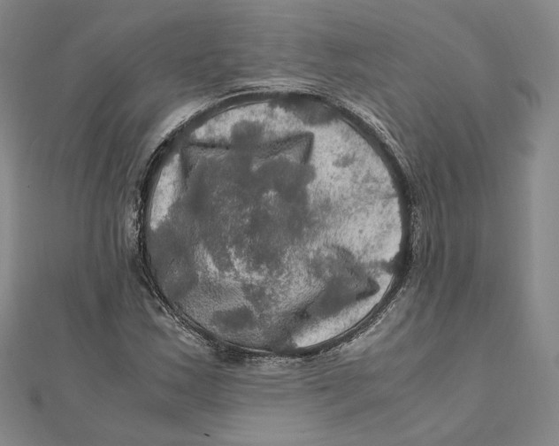X0000112011163200908311128