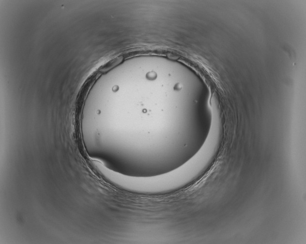 X0000112011165200908311128