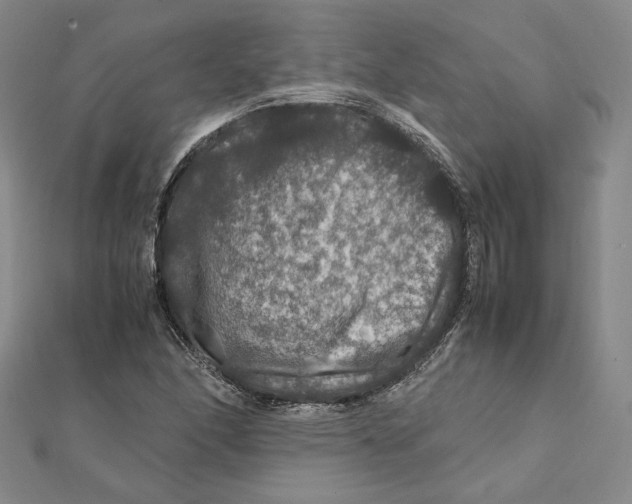 X0000112011166200908311128