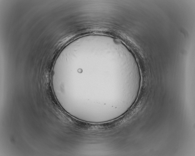 X0000112011169200908311128