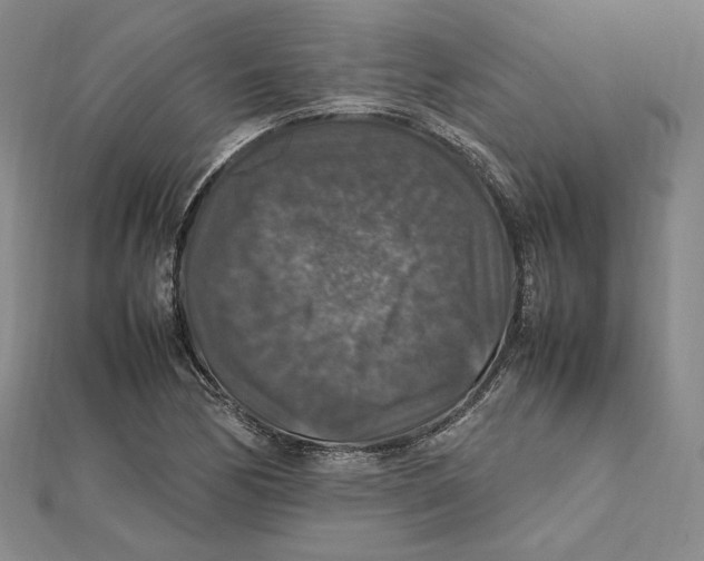 X0000112011170200908311128