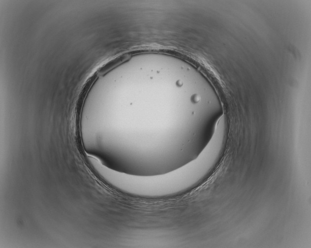 X0000112011173200908311128