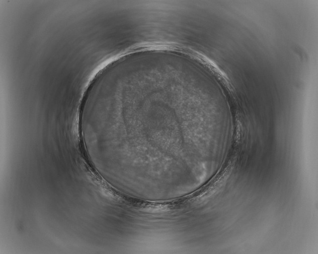 X0000112011174200908311128