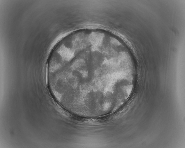 X0000112011175200908311128