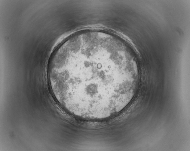 X0000112011176200908311128
