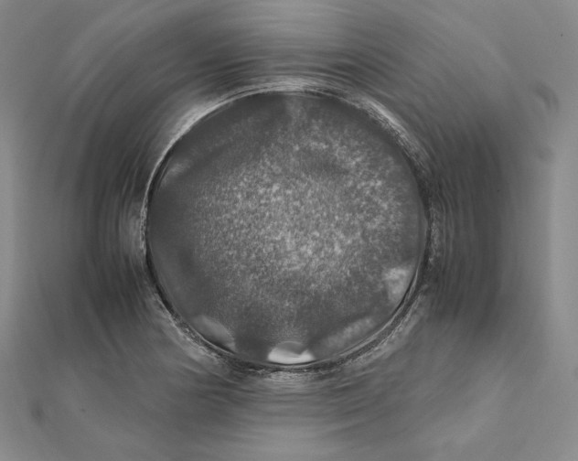 X0000112011178200908311128