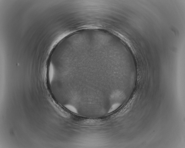X0000112011179200908311128