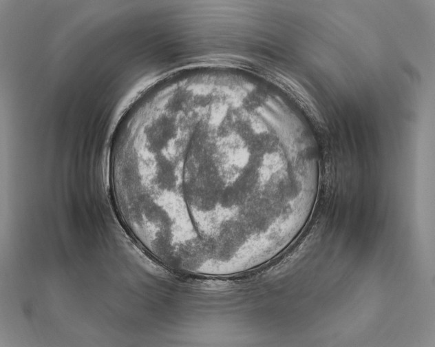 X0000112011180200908311128