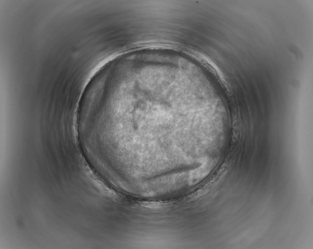 X0000112011182200908311128