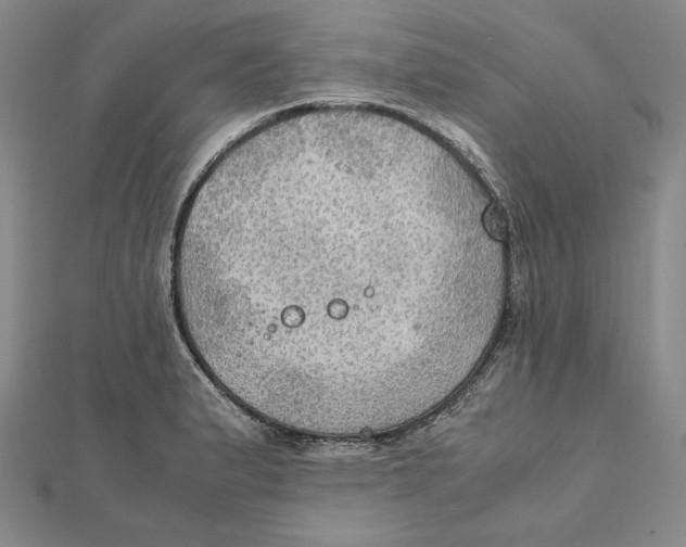 X0000112011183200908311128
