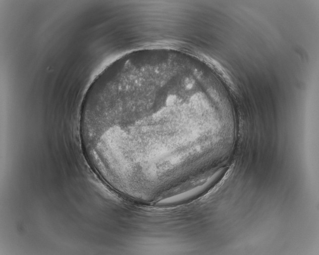 X0000112011184200908311128