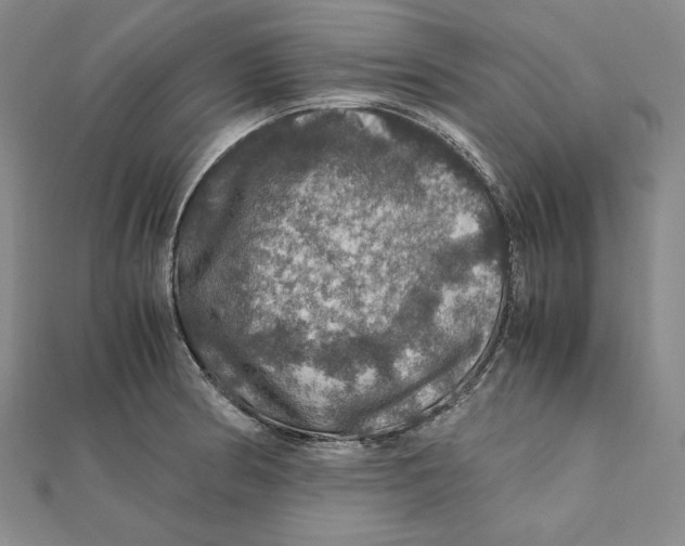 X0000112011186200908311128