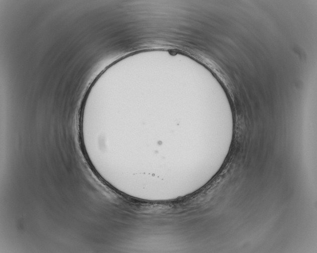 X0000112011187200908311128