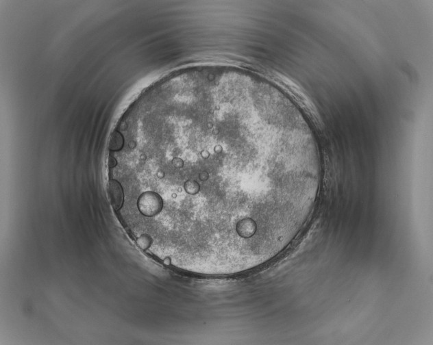 X0000112011188200908311128