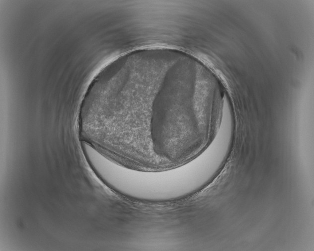 X0000112011189200908311128