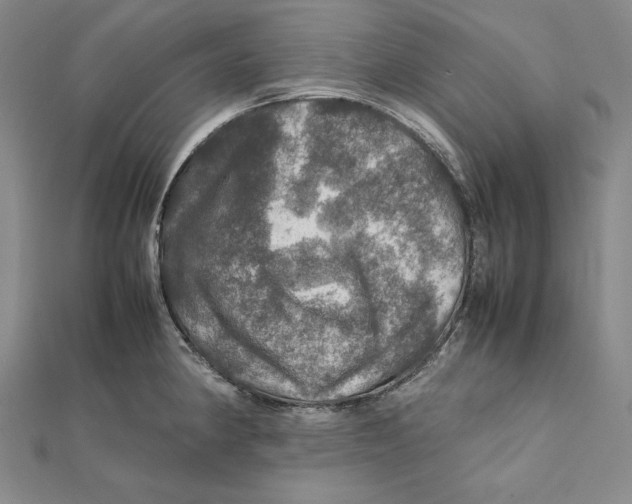 X0000112011190200908311128