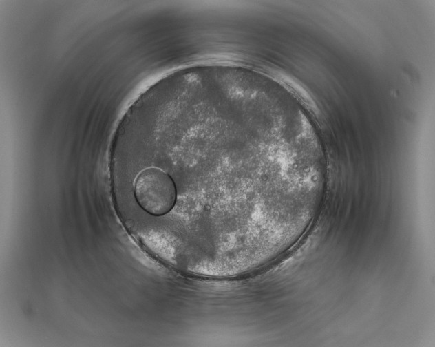 X0000112011192200908311128