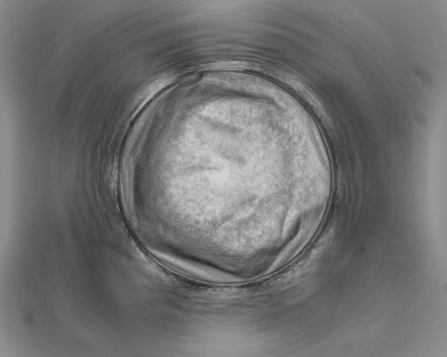 X0000112011193200908311128