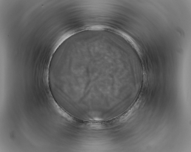 X0000112011194200908311128