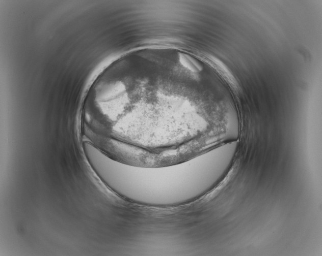 X0000112011196200908311128
