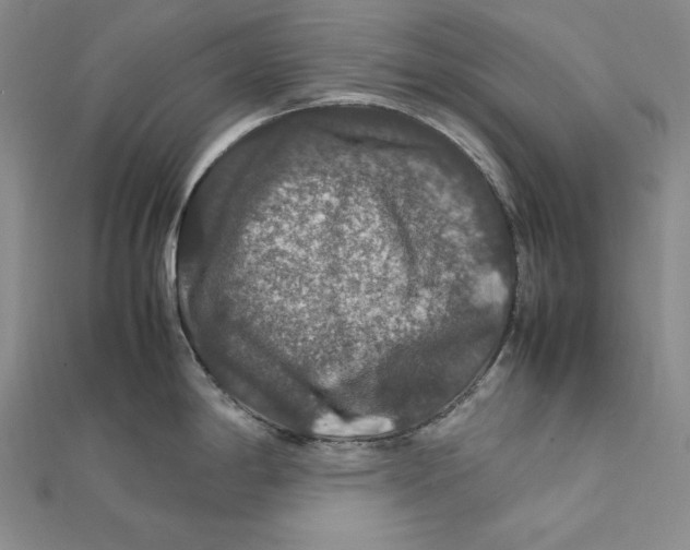 X0000112011198200908311128