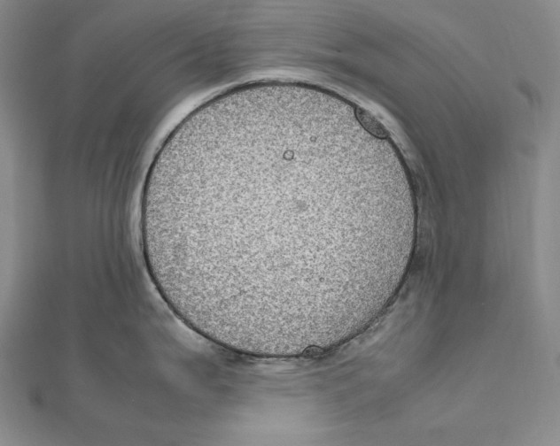 X0000112011199200908311128