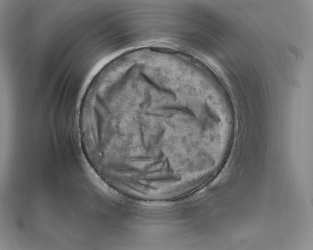 X0000112011200200908311128