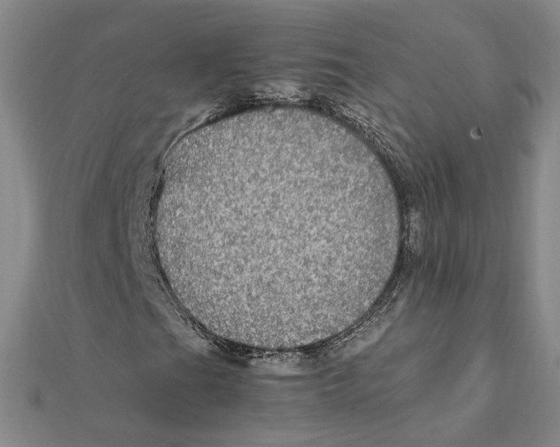 X0000112011201200908311127