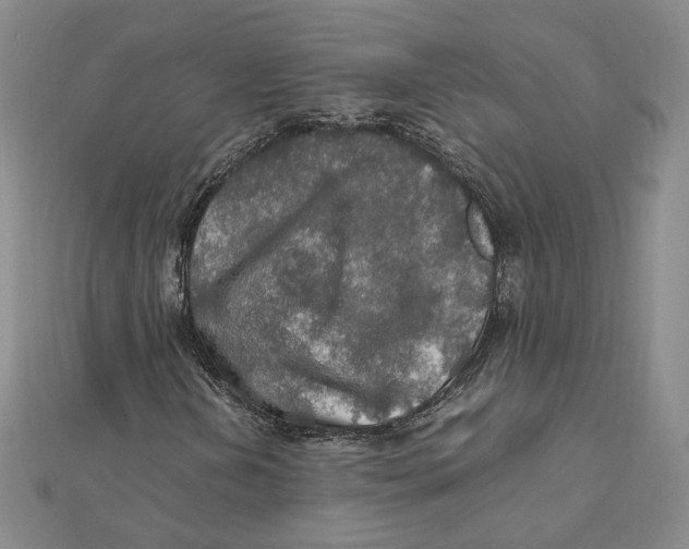 X0000112011202200908311127