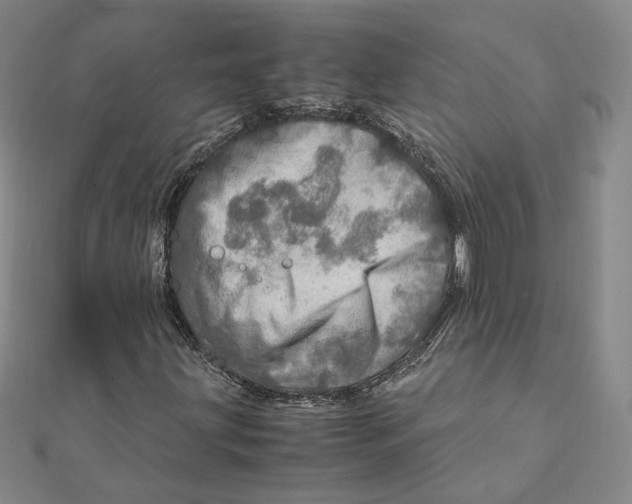 X0000112011203200908311127
