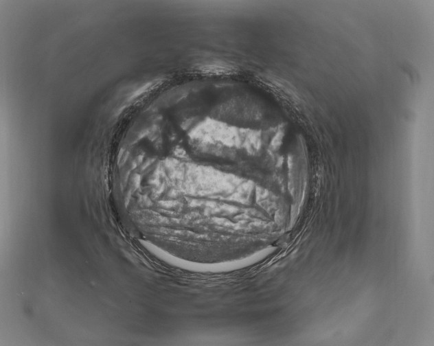 X0000112011205200908311127