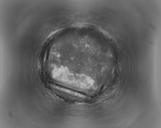 X0000112011206200908311127