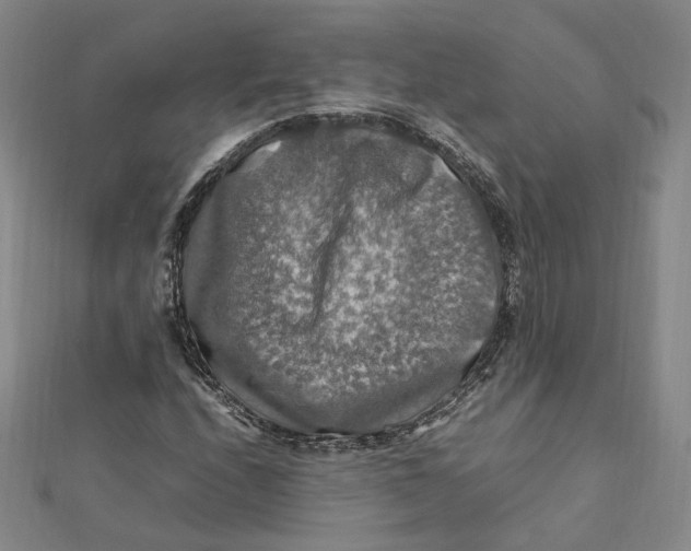 X0000112011208200908311127