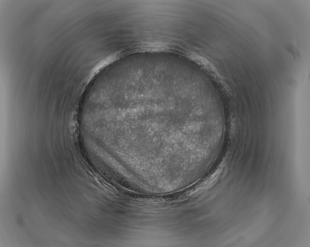 X0000112011210200908311127