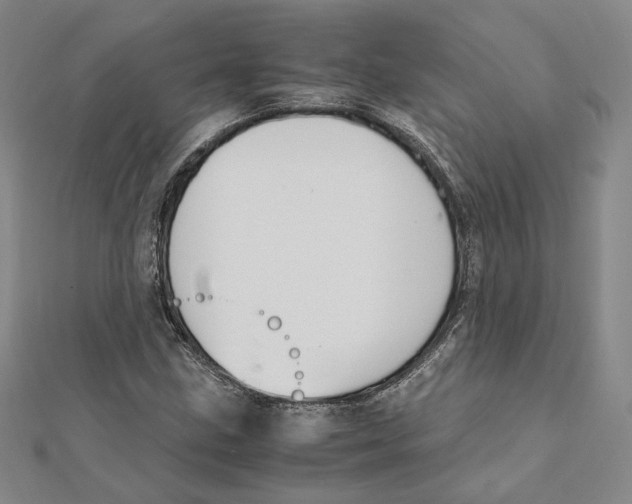 X0000112011211200908311127