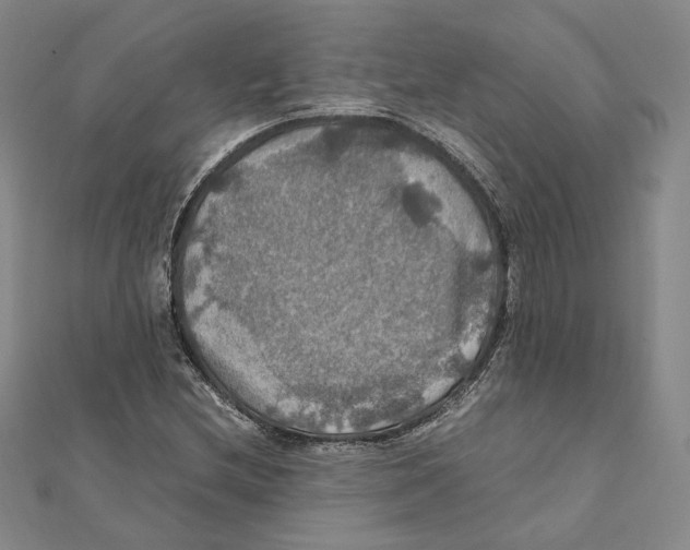 X0000112011212200908311127
