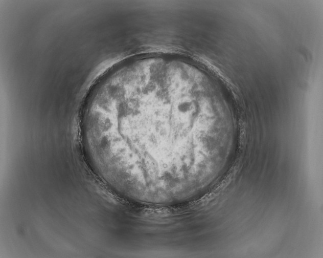 X0000112011215200908311127
