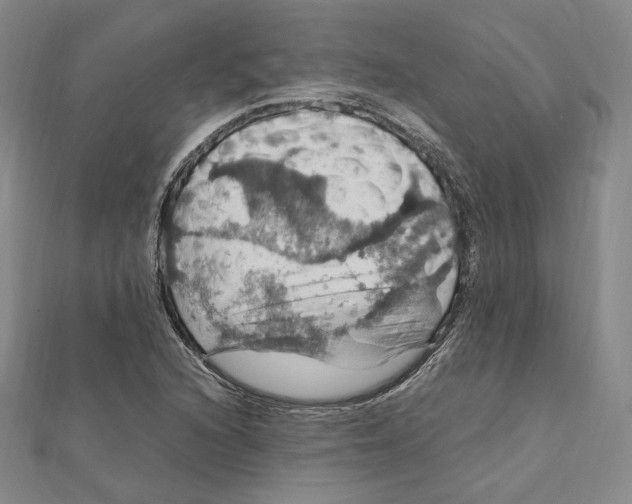 X0000112011216200908311127
