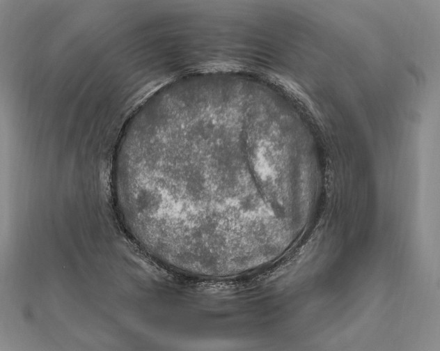 X0000112011217200908311127