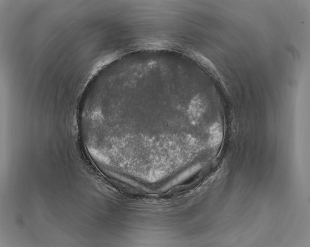 X0000112011218200908311128