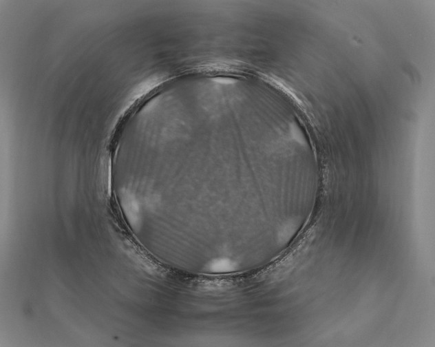 X0000112011219200908311128