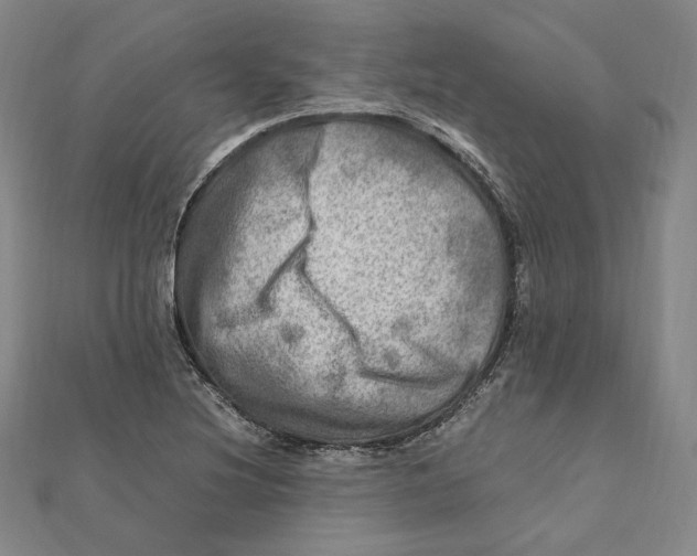 X0000112011220200908311128