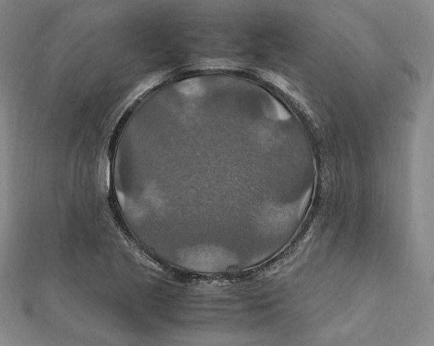X0000112011221200908311128