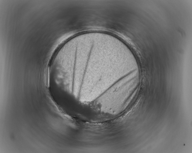 X0000112011223200908311128