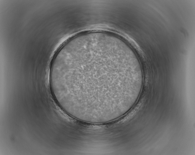 X0000112011224200908311128